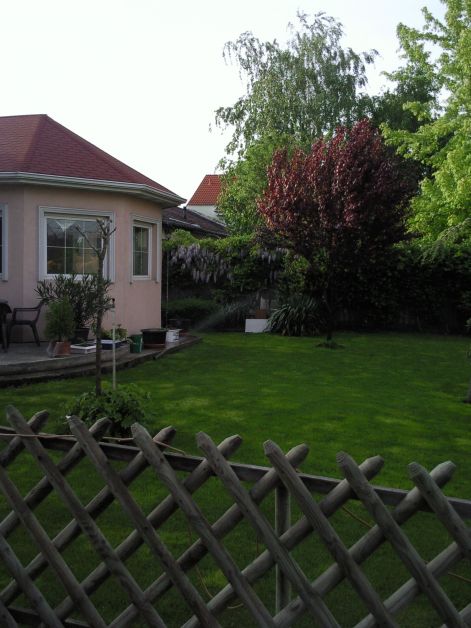 foto031.jpg