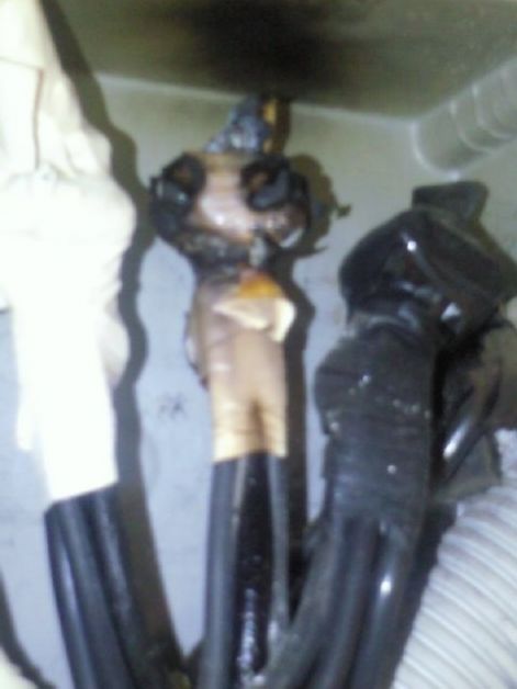 foto170.jpg