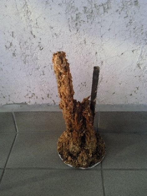 foto200.jpg
