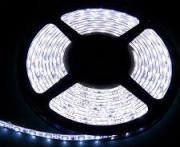 ledmaster_thumb_117.jpg