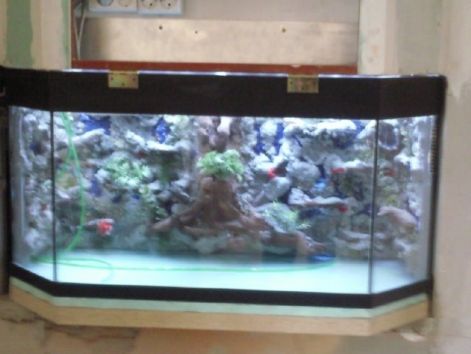 megvilagitott_akvarium.jpg