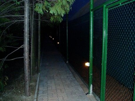 p1070031.kv.jpg